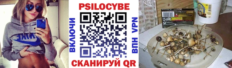 Псилоцибиновые грибы мицелий  Купить  Чадан 